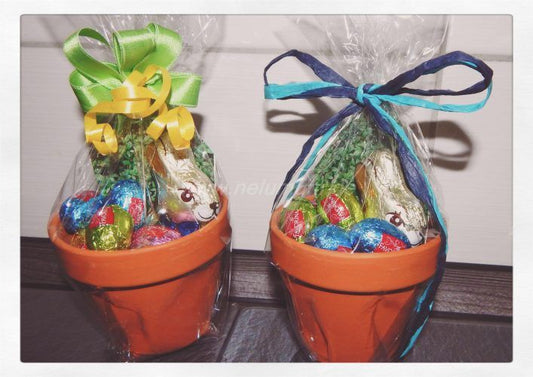 Easter candy plants